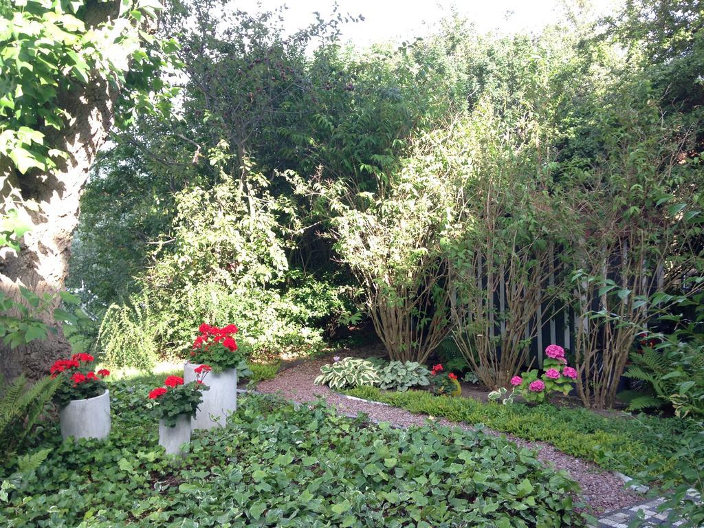Solrosen I Simrishamn - Oesterlen Zewnętrze zdjęcie