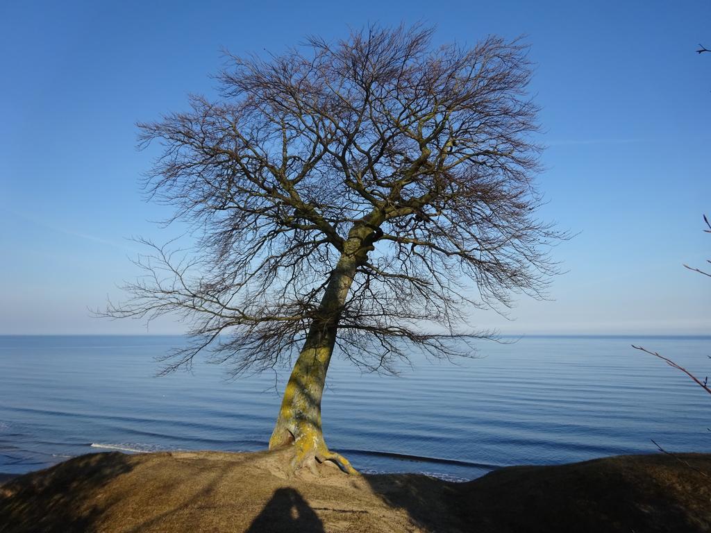Solrosen I Simrishamn - Oesterlen Zewnętrze zdjęcie